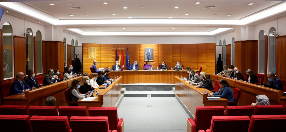 Pleno extraordinario