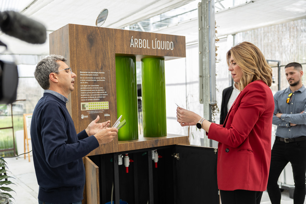 Presentación árbol líquido