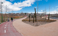 Carril bici en el Parque Arroyo Meaques