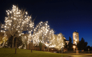 Pozuelo decorado con las luces navideñas (Se abre en ventana nueva)