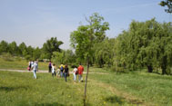 Grupo de personas visitando el Parque Forestal de Somosaguas (Se abre en ventana nueva)