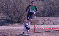 Mushing (Se abre en ventana nueva)