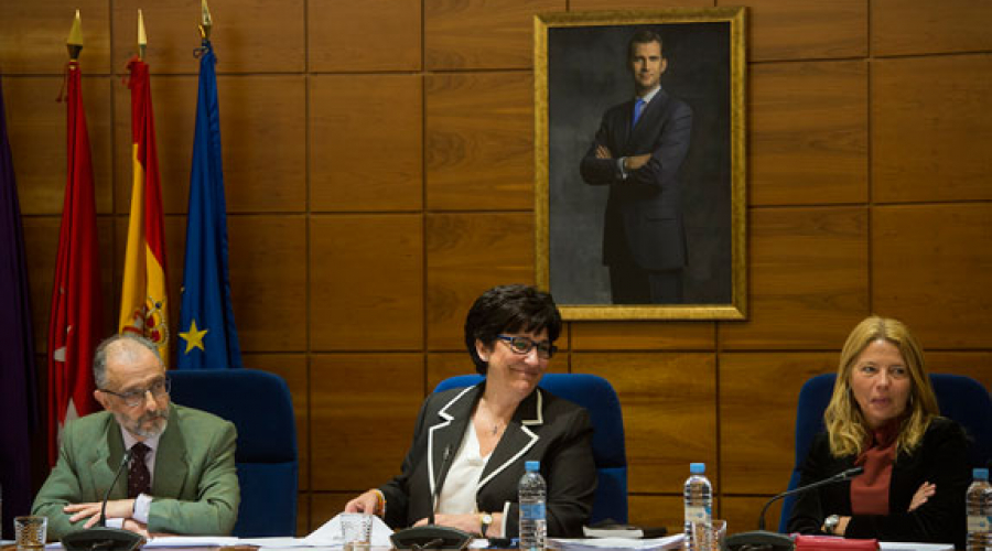 Pleno (17/03/2016)