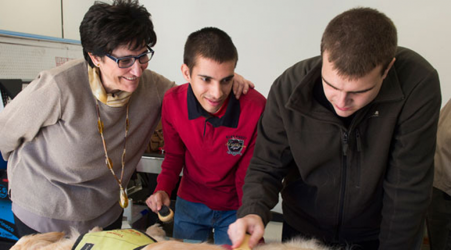 taller de intervención asistida con perros (Se abre en ventana nueva)