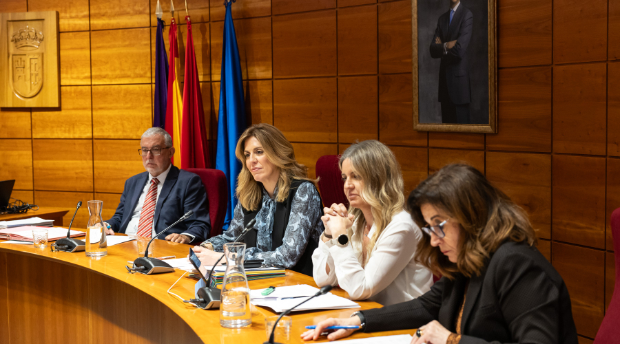 Alcaldesa en el pleno