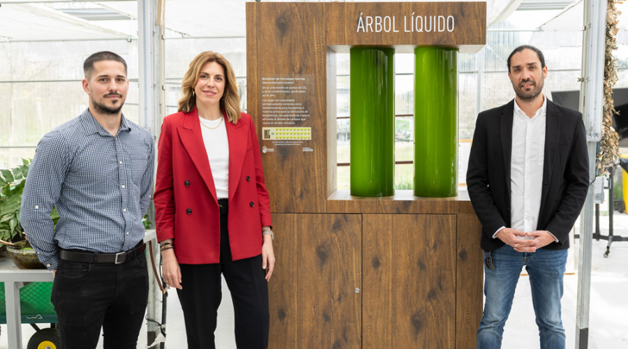 Presentación árbol líquido