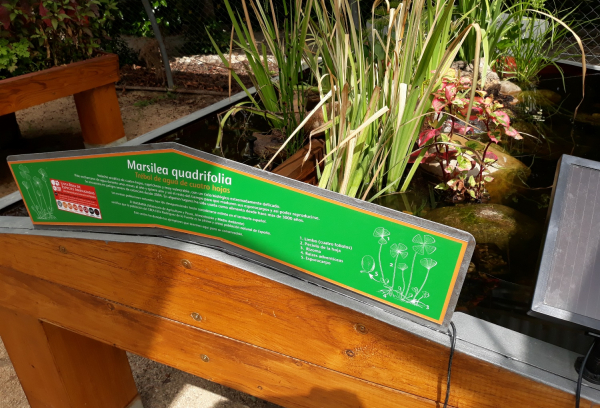 Hospital de plantas