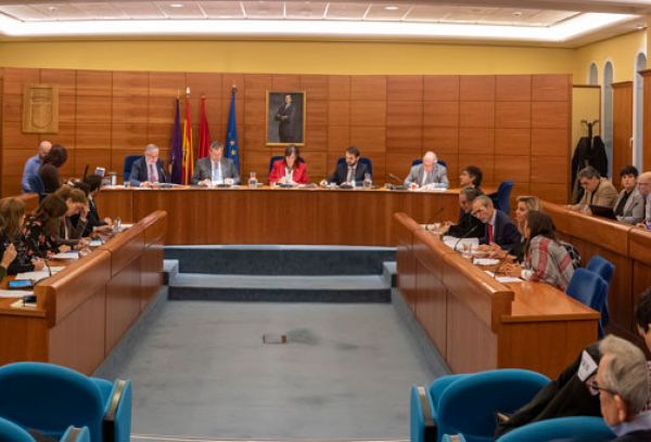 Sesión plenaria del mes de enero de 2020