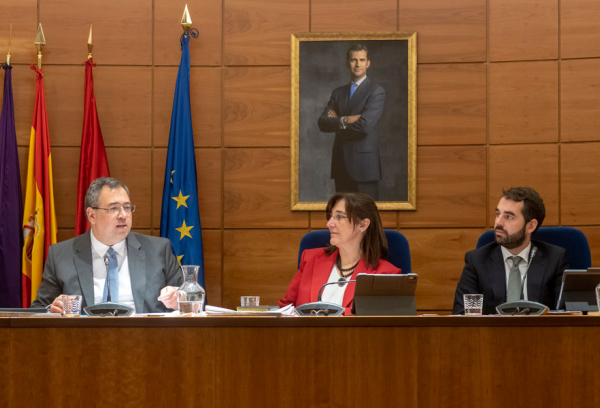 Pleno del mes de enero de Pozuelo