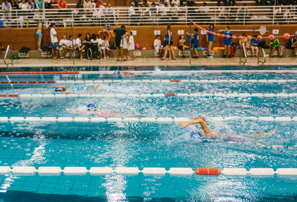 Torneo de natación